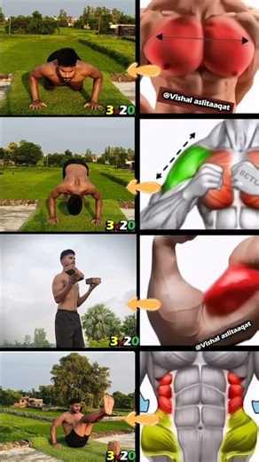 😱4 Powerful Exercises for Chest, Arms & Abs 💪🔥 #fitness #homeworkout #viral #fyp