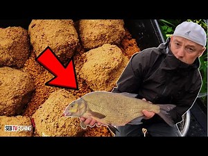 This bait is formidable for bream and tackle in canals.