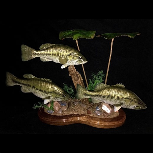 Ever wonder how lifelike a fish replica can be? 👀 Dive into the Waters by Klaus Gallery and see museum-quality realism that stops you mid-scroll. From glassy-eyed Walleye and trophy sized Largemouth Bass to hyper-detailed Rainbow Trout, Northern Pike, Crappie, even baitfish and habitat elements—it’s all there, finished to a standard that looks fresh from the water. 🐟Realism that sells the scene — accurate proportions, scale texture, fin posture, and lifelike finishes that read true from inches