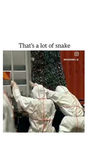 FullOnFunny on Instagram: "The X post shares a dramatic clip from the 2022 Chinese action-horror film "Deep Sea Mutant Snake," showing hazmat-suited workers dumping thousands of writhing snakes into a desert pit before dousing them with acid, amid gunfire and flames from escaping reptiles. Posted by Nigerian data analyst Iyke (@currentiyke ) on November 13, 2025, the video has garnered over 3 million views and 5,000 likes, reflecting its appeal as absurd, low-budget cinema that resonates with gl