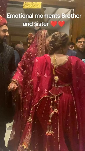 The Wedding Photographer on TikTok