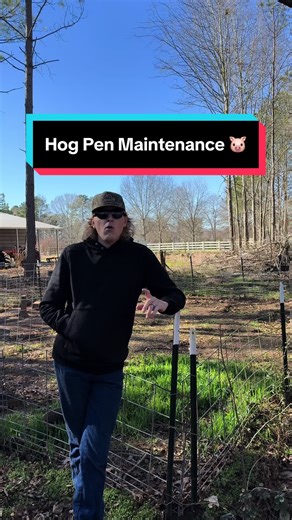 Winter Preparation for Hog Pen Maintenance