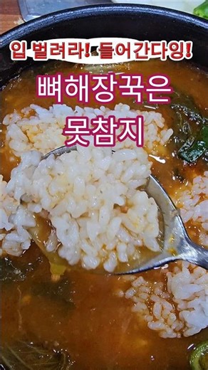 뼈해장국 충남 계룡