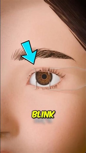 What Happens If You Stop Blinking? The Truth Will Shock You! 👁️ #Facts #EyeHealth
