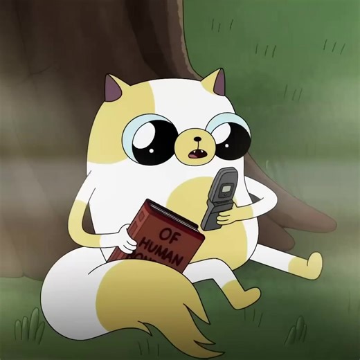 Fionna and Cake: Adventure Time Edit