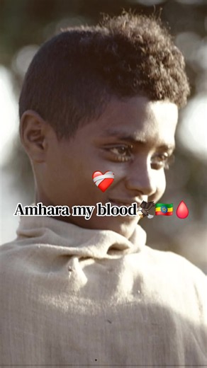 Amhara my blood — Amhara pride stickers and chants