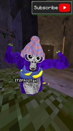 I Changed My Gorilla Tag Fit…