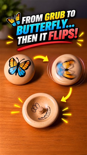 🌀 THE STRANGEST SPINNING TOP YOU'LL SEE!