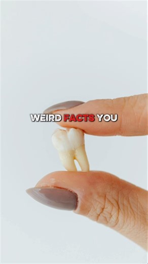 Weird facts about your teeth you didn't know.