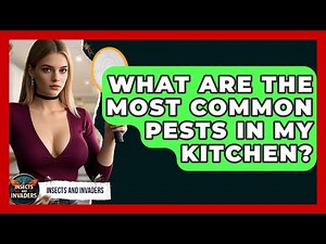 What Are The Most Common Pests In My Kitchen? - Insects and Invaders