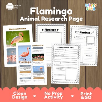 Flamingo Animal Research Project | Animal Report & Life Cycle Worksheets