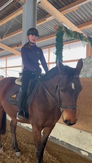 🥇✨ Reitabzeichen-Lehrgang – Tag 1 ✨🥇 Heute haben wir ein paar unserer Teilnehmer gefragt: „Welches Pferd reitest du?“ 🐎 Die Antworten? So vielfältig wie der Reitsport selbst: Vom lieben Schulpony 💛 über den wendigen Trakehner ⚡ bis hin zum edlen, gekörten Hengst 👑 Und das Schönste: Jeder hat sein passendes Pferd gefunden. Der erste Tag stand ganz im Zeichen von 👉 Einfinden 👉 Pferde kennenlernen 👉 Status Quo überprüfen Über 20 Prüflinge werden am Freitag zur Prüfung antreten! Ein wahnsinn