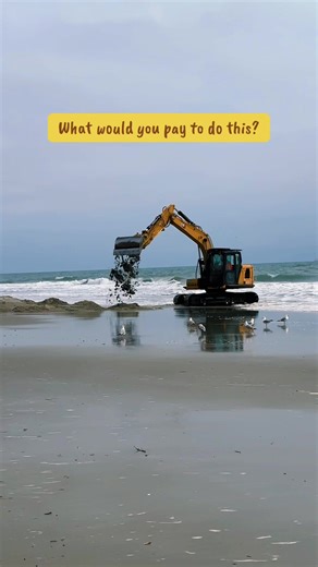 Exploring the Giant Sandbox with a Big CAT Toy