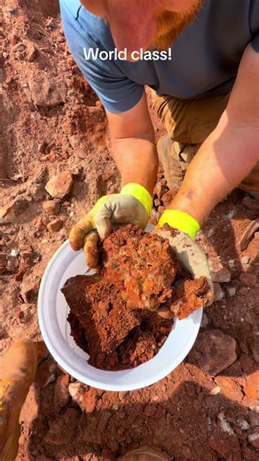 Dig for Treasures & Enjoy Live Music