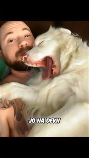 A Doggy Who Can’t See or Hear, But Feels Love