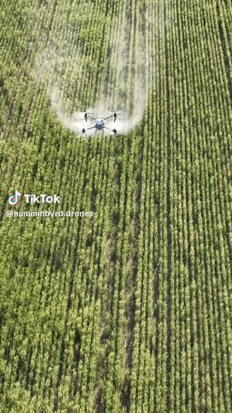Can’t get enough of the t50 🙌 #dji #drones #djiagrast50 #agriculture #farming #humminbyrddrones #spraying #drone #uas