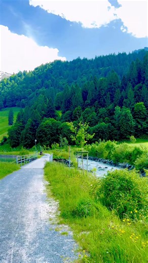 Switzerland 🇨🇭Engelberg 📍⛰️🌲🏞️ #berneroberland #switzerland #mountains #schweiz #swissalps #myswitzerland #nature #hiking #swiss #alps #visitswitzerland #travel #jungfrauregion #suisse #landscape #reels #naturephotography #relaxing #grindelwald #lauterbrunnen #interlaken #lake #love #switzerlandpictures #swissmountains #switzerlandwonderland #NatureLovers #BeautifulDestinations #fotografia | Swiss vid