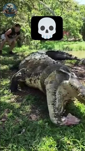 Incredible Animal Transformations – Wildlife Before & After