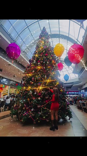 #merrychristmas