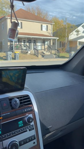 13 reactions · 3 comments | Spank found a love interest in Dewey’s friends dog.  Spank couldn’t look away they was just staring at each other for like 5 minutes. I got the camera out and she took off and Spank got upset. | Sarah Elise Webb | Facebook