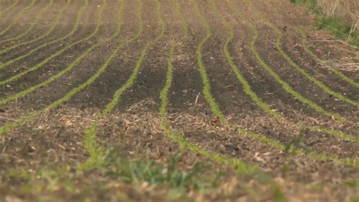 Iowa Valley RC&D launches innovative two-year fellowship for aspiring farmers in 2026