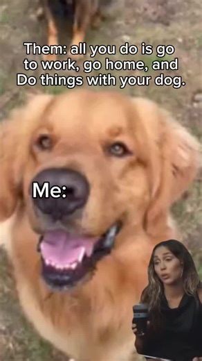 It appears…. True. #ocdogranch #dogtraining #dogboarding #bootcampfordogs #dogsofttiktok #obedience