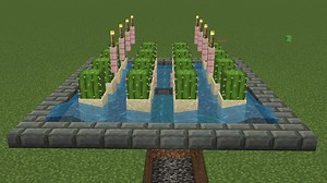 How to make cactus farm in Minecraft Bedrock
