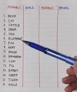 List of animals along with their male, female, and young names: | Tim Tim TV