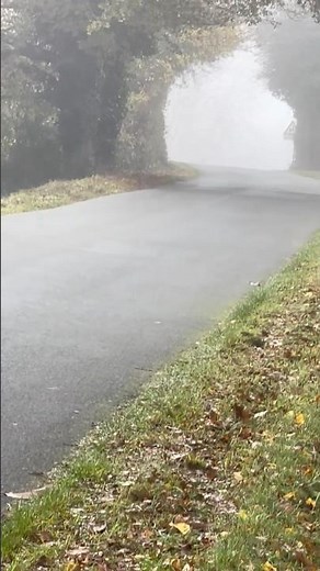Behind the Fog… 🌫️ Grand corps malade (Fabien Marsaud’ stage name) et Louane 🎤 🎶
