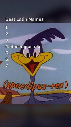 and on the twelfth day, beep beep #looneytunes #ranking #roadrunner #fyp