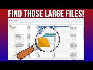 Find Large Files Instantly with RidNacs! (Portable Disk Analyzer)