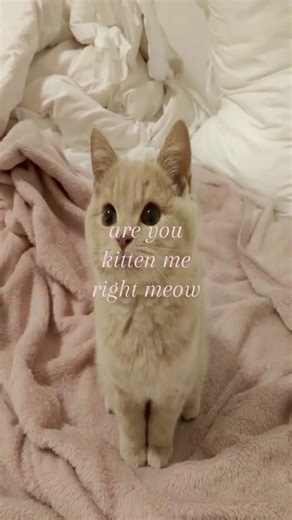 @voctyx on Instagram: "日本利用壓電磁磚將腳步轉化為電能。這些瓷磚捕捉來自你腳步的動能。當你行走時,你的重量和動作會對瓷磚產生壓力。磁磚會輕微彎曲,從而產生機械應力。磁磚內部的壓電材料將這種應力轉化為電能。每一步都會產生少量電荷,而數百萬步結合在一起就能產生足夠的電力來驅動LED燈、數位顯示器和感測器。在像澀谷車站這樣繁忙的地方,每天大約有240萬個腳步為此系統作出貢獻。這些電能可以被儲存或立即使用,從而減少對傳統電力來源的依賴,並支持可持續的城市基礎設施。這個方法將日常運動轉化為實用的可再生能源 #日本#知識#事實#你知道嗎#推薦#科技 #創"