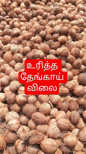 22.4.2026📊விலை ஏற்றமா? பேராவூரணி|பட்டுக்கோட்டை