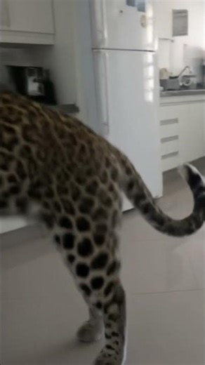 25 de outubro de 2025