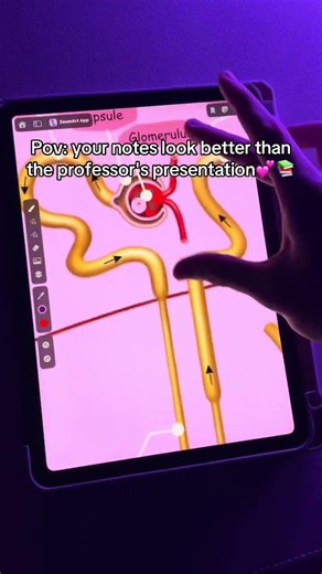 I take notes in the ZoomArt app💕#notetaking #notes #ipadnotes #notesapp #ipadapps