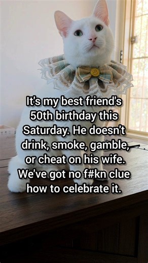 23K views · 525 reactions | He's the only man turning 50 with a clean browser history  | Moomoo Cat | Facebook