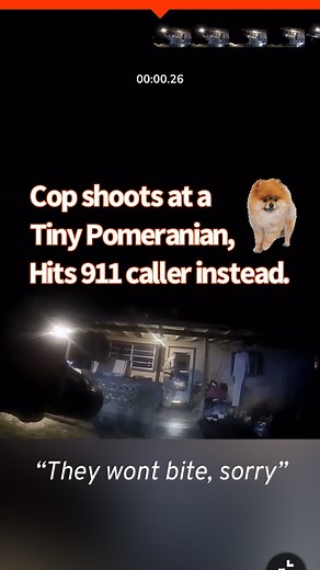 ALWAYS FOR THE PEOPLE on Instagram: "Why are cops kiIIing 30 dogs everyday?! Tina Hight, a resident of Columbia County, called the Columbia County Sheriff’s Office on August 30, 2022, asking for assistance for what she told Insider was a “domestic violence” incident. The request for help spurred a traumatizing turn of events that still affects her today, she said. “I became the person who called the cops for my protection to the victim in just a matter of minutes,” Hight told Insider. “I’m shaki