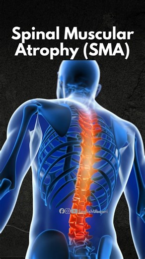 $2 Million vs $1 Cure | True Miracle