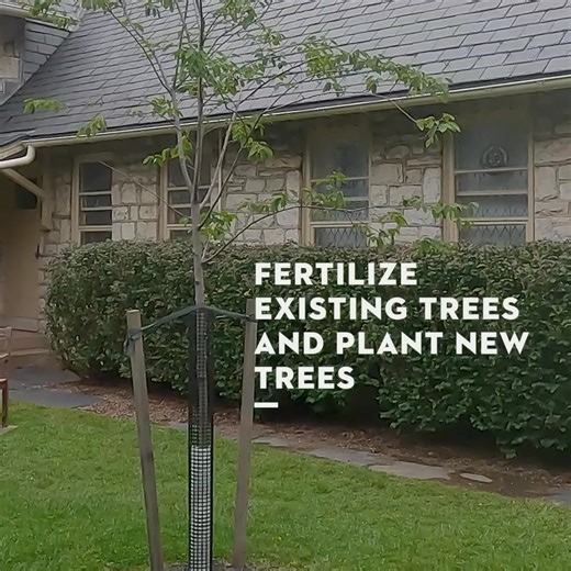 Check out these tree care tips from certified arborist Katelyn Johnson for your yard this fall. | Foshee Equipment | Facebook