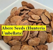 Health Benefits of Hunteria Umbellata ~ Abere Seed - 9jafoods