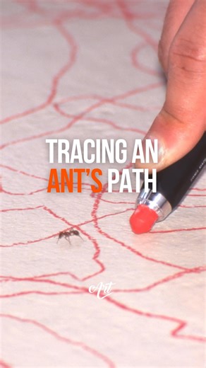 Art Daily Dose Originals on Instagram: "Introducing Wandering Position — a thought-provoking artwork by Japanese contemporary artist Yukinori Yanagi. His work explores themes of movement, displacement, and the invisible systems that shape our perception of space and society. Wandering Position invites viewers to reflect on the lives of these miniature creatures as well as the concept of borders. Artist: @yukinoriyanagi 💌 We also run a free newsletter where we share weekly art discoveries and hi