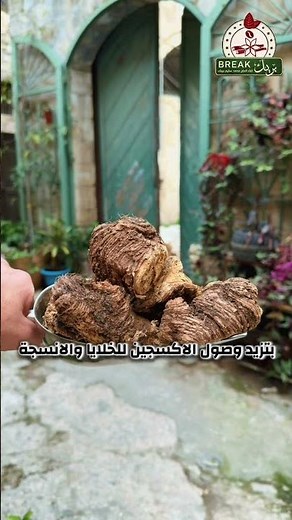 عشبة شرش الزلوع #نشاط #طاقة #اعشاب #معلومات #نصائح