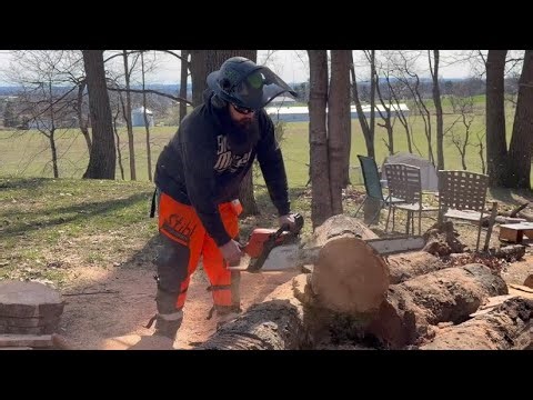 Stihl ms390 experimental saw!