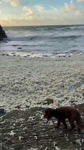 Mountains of sea foam covered the coastline across Cornwall this morning (October, 7) | Cornwall Live