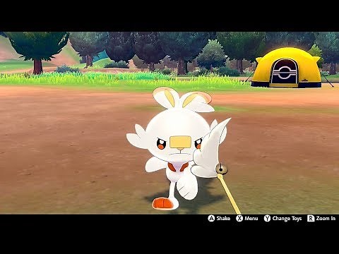 Scorbunny In Camp - Pokemon Sword & Shield