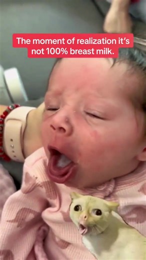 Baby Milk: The Ultimate Guide to Breastfeeding and Bottle Feeding