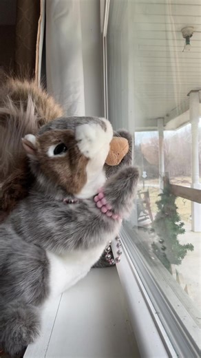 Cross my heart and I hope to die 💃#fyp #makethisviral #baddie #squirrel #handpuppet