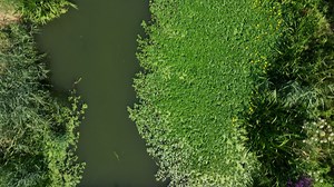 Vármegyénk szép szeglete: Vértesszőlős | Komárom-Esztergom Vármegye Önkormányzata