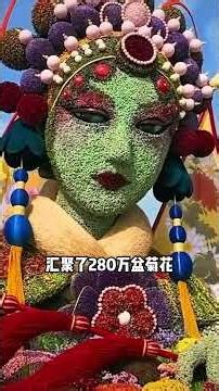 菊花本无过污名皆外来！收藏好这份全国“赏菊”攻略！重阳节不妨带着家人赏菊吧！重阳节大有学问旅游攻略菊花展传统文化