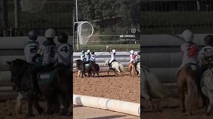 Amazing Horseball Game! Mini Horses & Young Riders